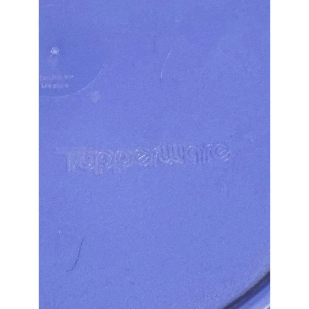 Two Tupperware Replacement Lids #2541-D3‎ w/Butterfly Tab - Purple & Blue